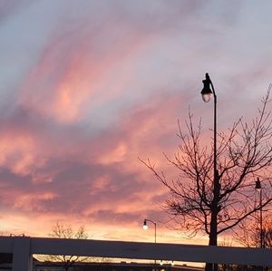 Meet your Posher, Karlene